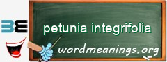 WordMeaning blackboard for petunia integrifolia